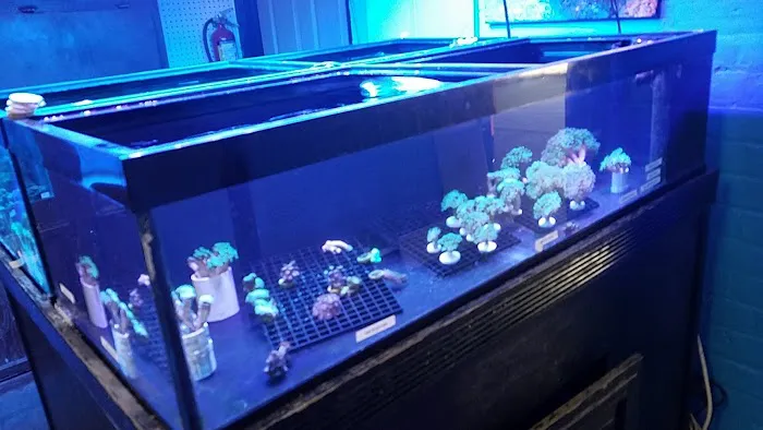 Aquatics & Exotics Picture 6