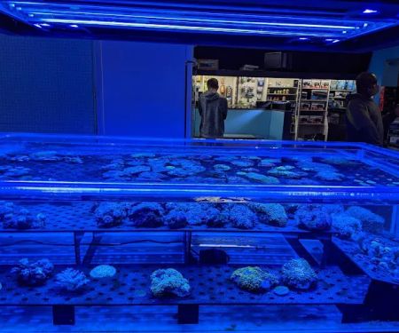Aquatics & Exotics