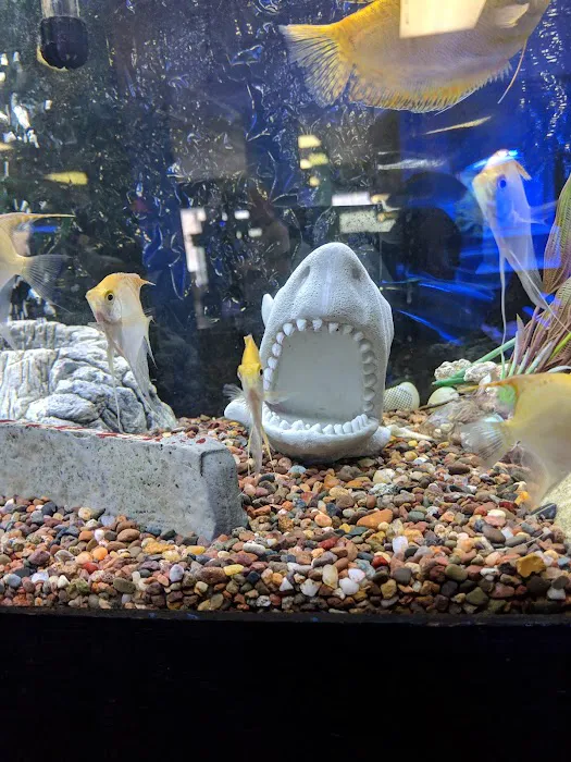 Aquatics & Exotics Picture 4