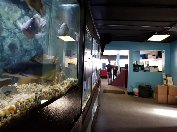 Aquatics & Exotics Picture 8