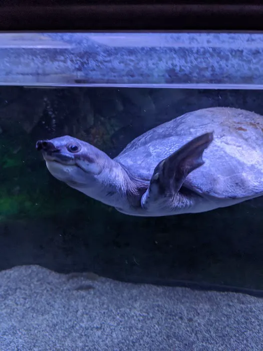 Aquatics & Exotics Picture 10