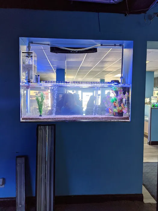 Aquatics & Exotics Picture 3