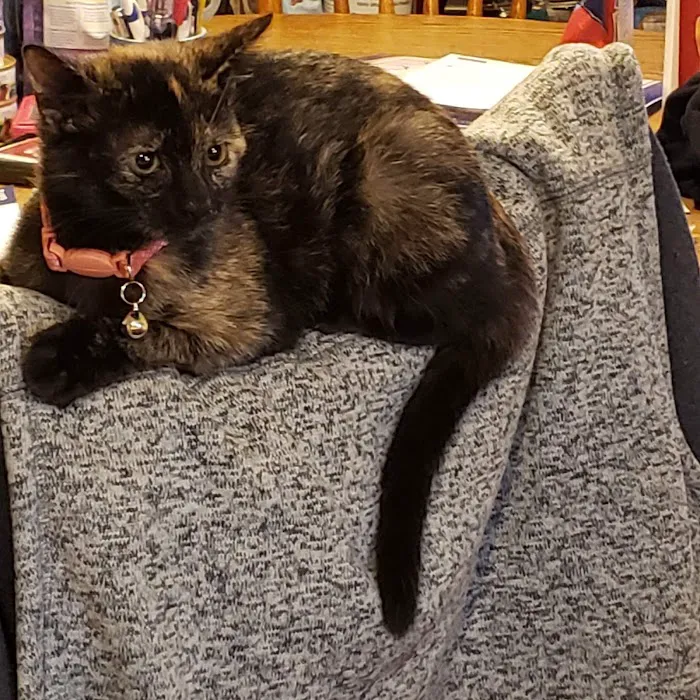 Animal House Picture 7