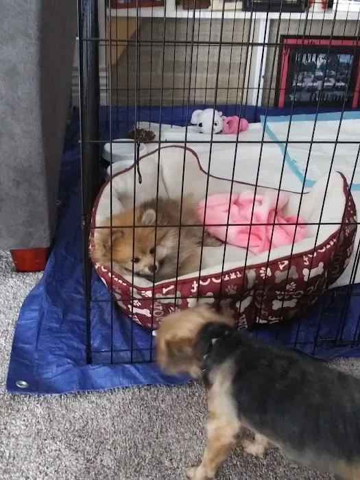 Animal House Picture 5