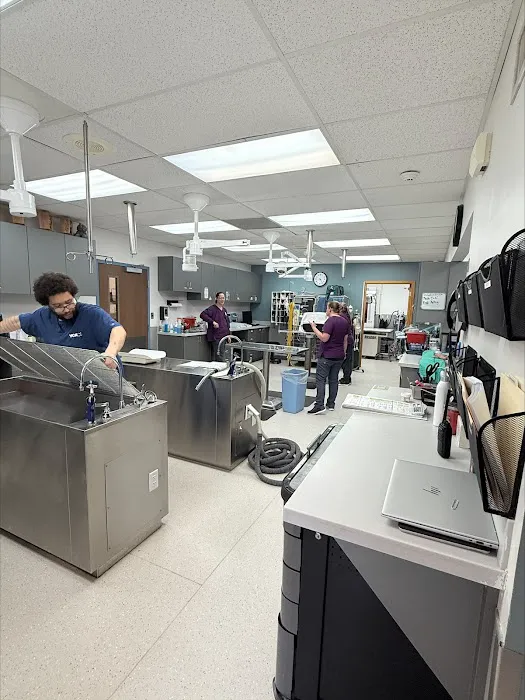 VCA College Hill Animal Hospital Picture 10
