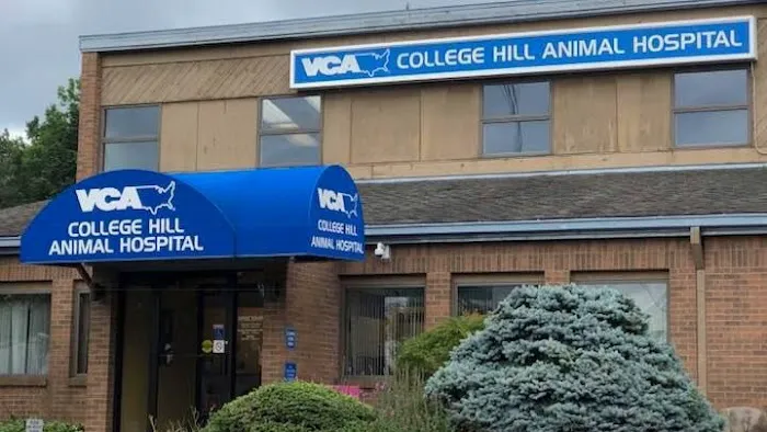 VCA College Hill Animal Hospital Picture 2