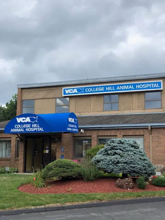 VCA College Hill Animal Hospital Picture 5