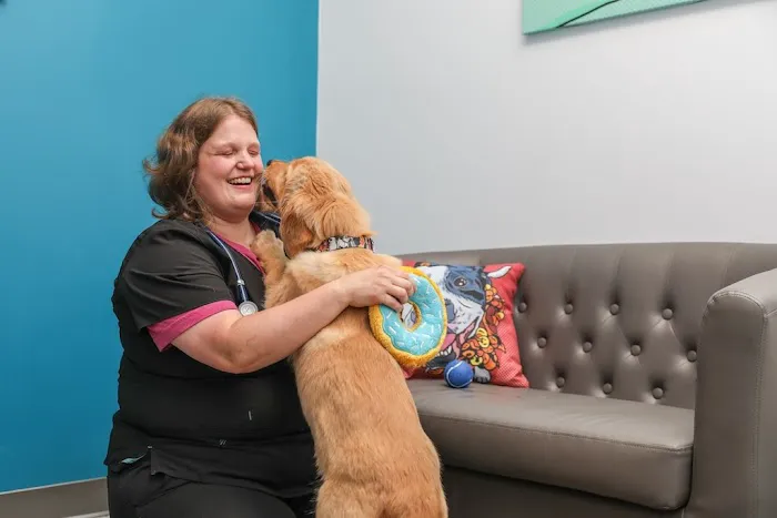 PetVet365 Pet Hospital Cincinnati / Colerain Picture 1