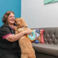PetVet365 Pet Hospital Cincinnati / Colerain ico