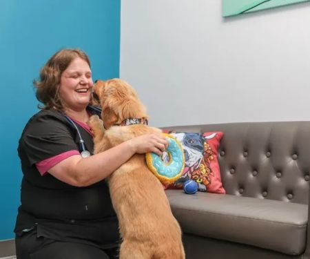 PetVet365 Pet Hospital Cincinnati / Colerain