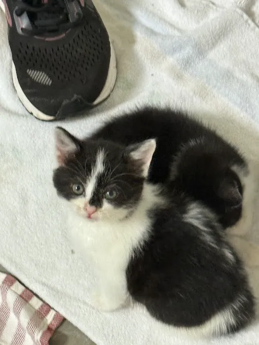 PetVet365 Pet Hospital Cincinnati / Colerain Picture 6