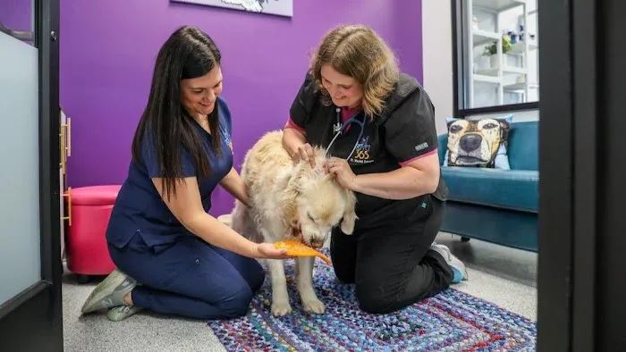 PetVet365 Pet Hospital Cincinnati / Colerain Picture 3