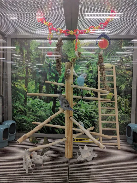 Petco Picture 2