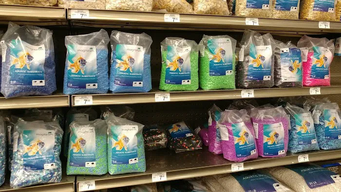Petco Picture 5