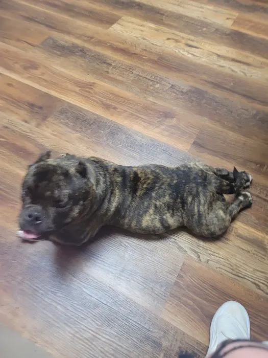 Twin Valley Vet Services, LLC Picture 8