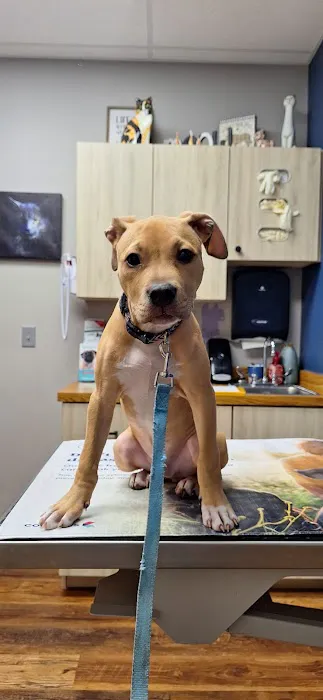 Twin Valley Vet Services, LLC Picture 6