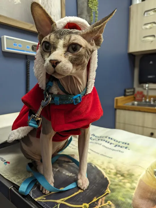 Twin Valley Vet Services, LLC Picture 4