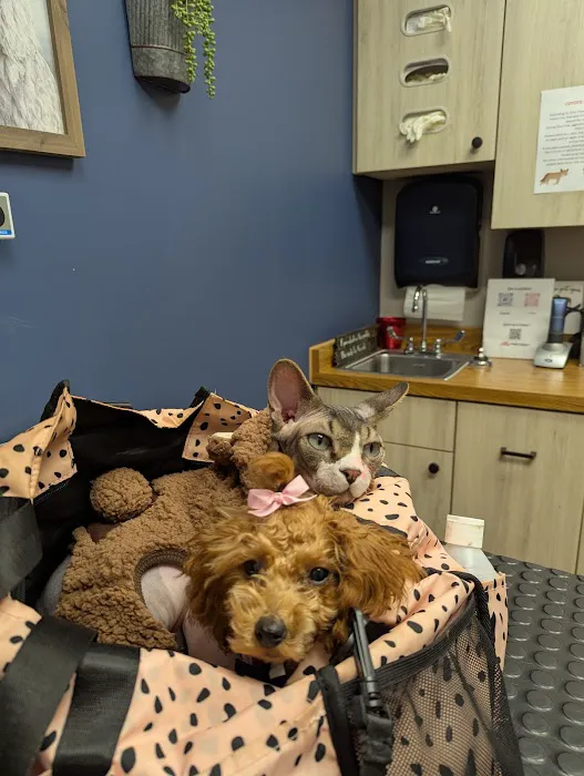Twin Valley Vet Services, LLC Picture 1