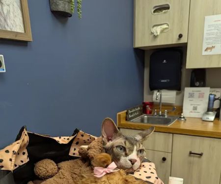 Twin Valley Vet Services, LLC