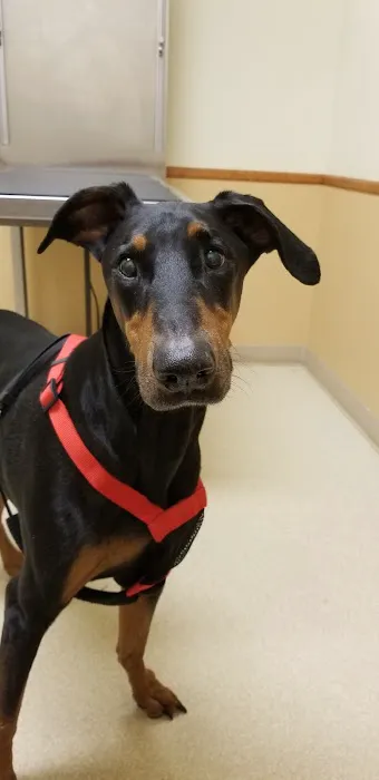 Western Hills Veterinary Clinic Picture 8