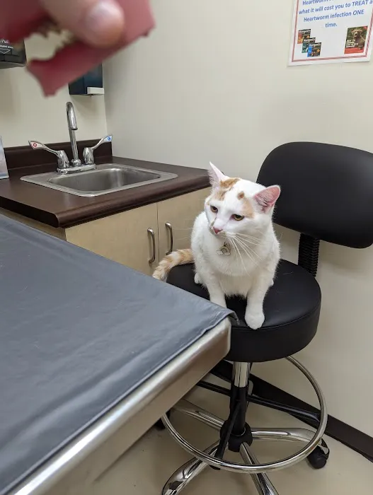 Farmersville Veterinary Picture 7