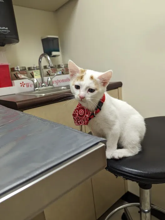Farmersville Veterinary Picture 4