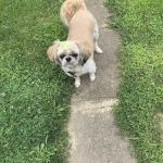 Farmersville Veterinary