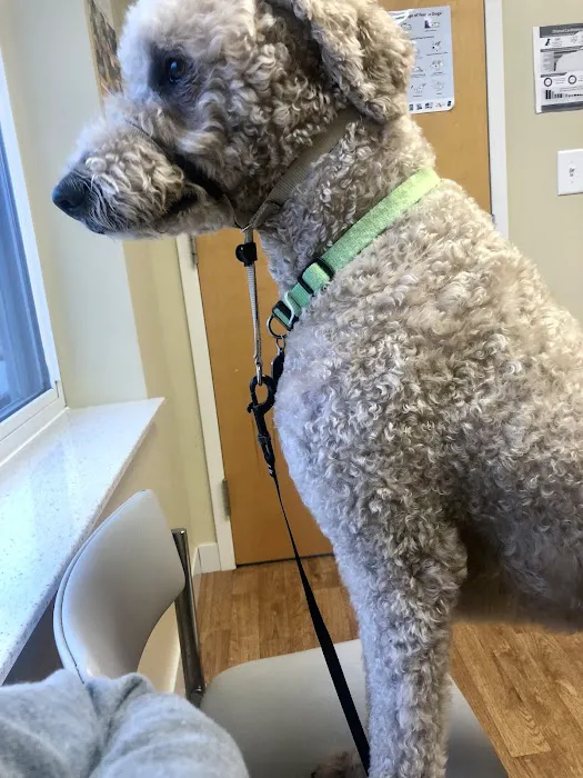 Prices Creek Veterinary Service Picture 9
