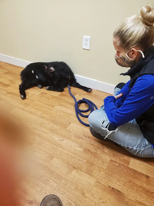 Prices Creek Veterinary Service Picture 3