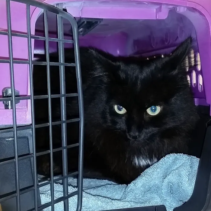 Brookville Animal Hospital Picture 8