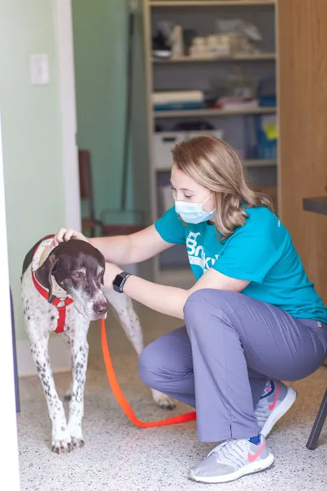 Brookville Animal Hospital Picture 2
