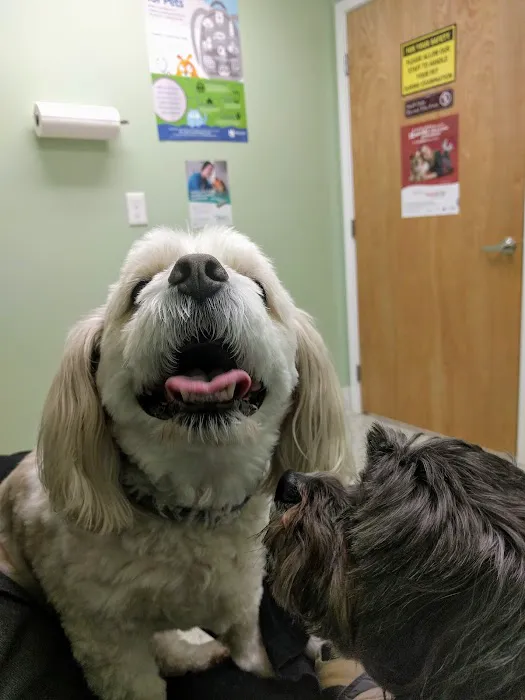 Brookville Animal Hospital Picture 10