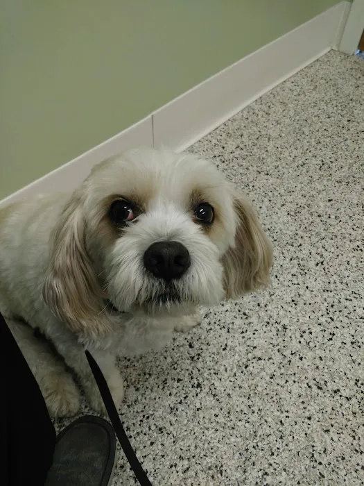 Brookville Animal Hospital Picture 7