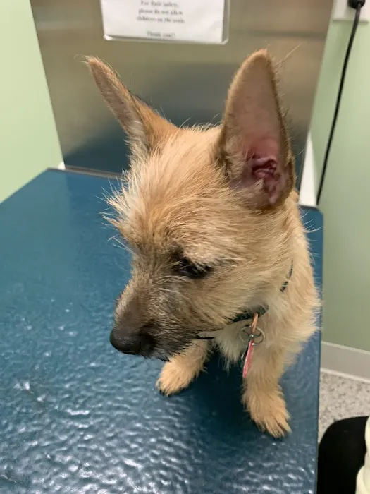 Brookville Animal Hospital Picture 1