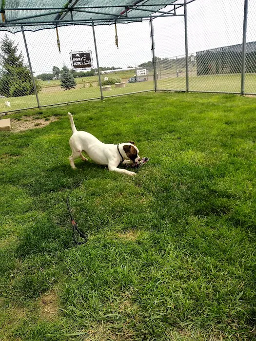 Arcanum Veterinary Service Picture 7