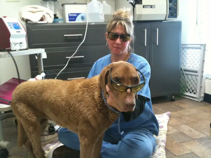 Clayton Animal Hospital Picture 8