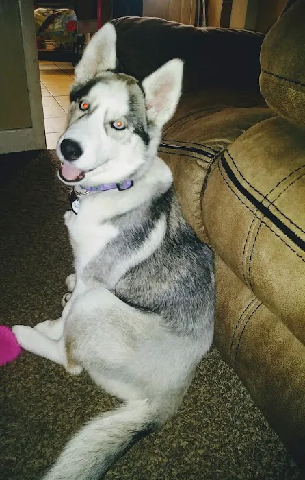 Clayton Animal Hospital Picture 3