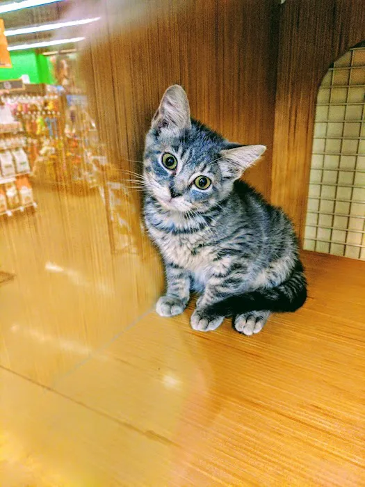 Petco Picture 8