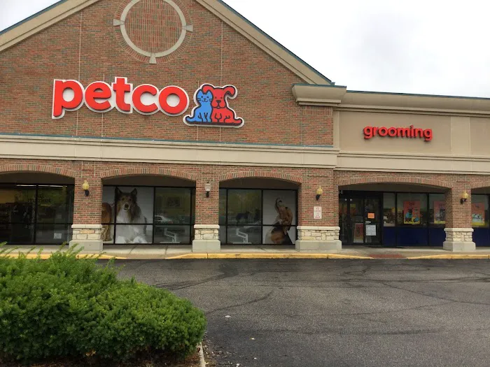 Petco Picture 3