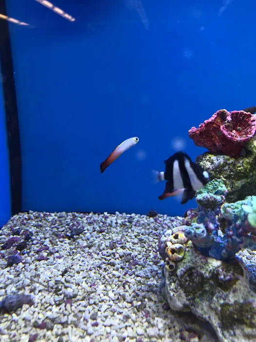 Petco Picture 1