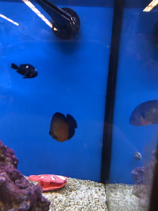 Petco Picture 6