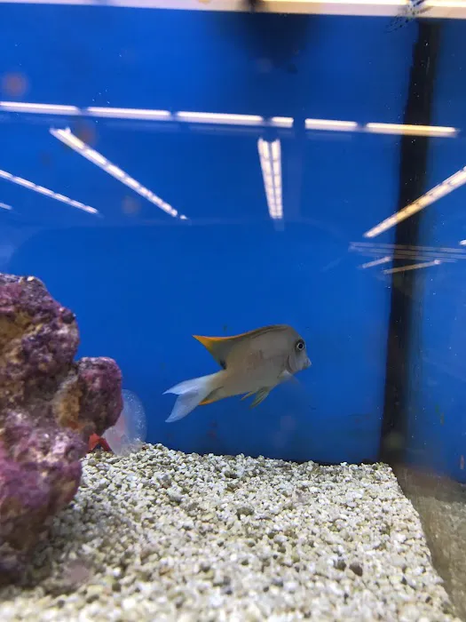 Petco Picture 4