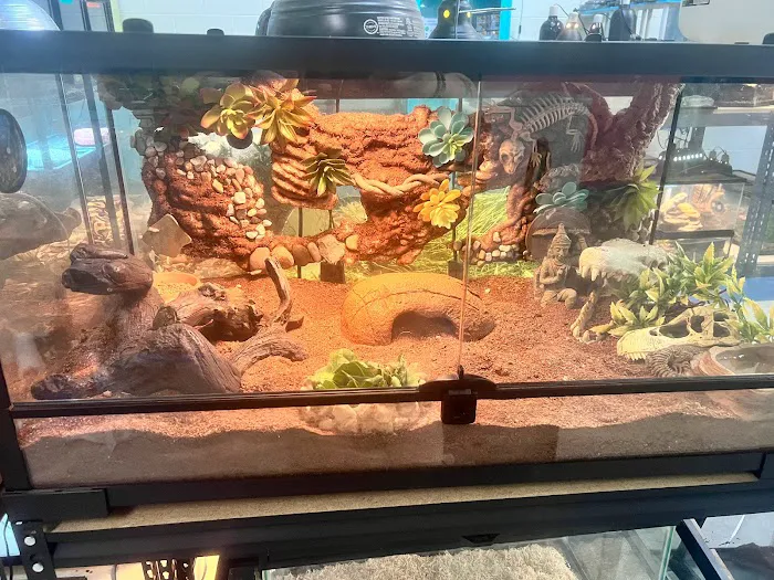 Anvil Exotics Picture 5