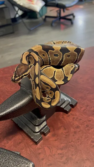 Anvil Exotics Picture 1