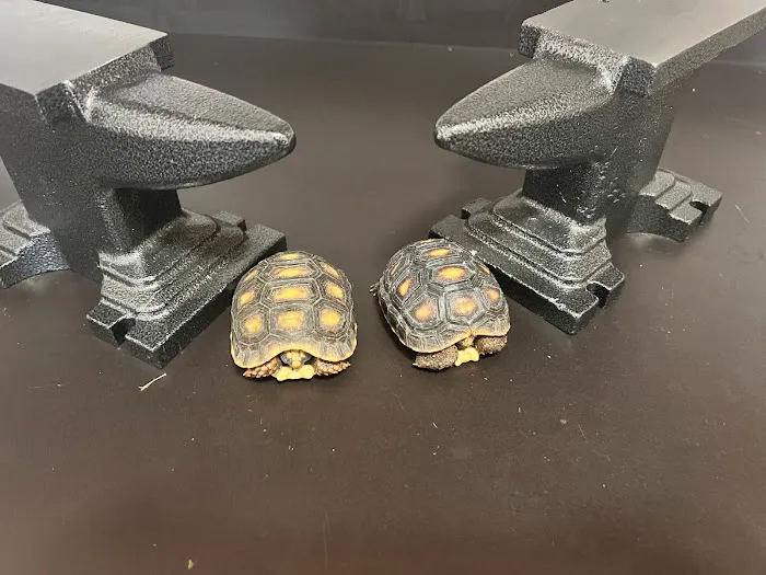 Anvil Exotics Picture 6