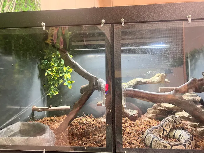 Anvil Exotics Picture 8