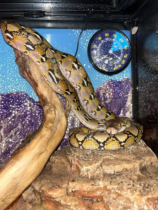 Anvil Exotics Picture 10