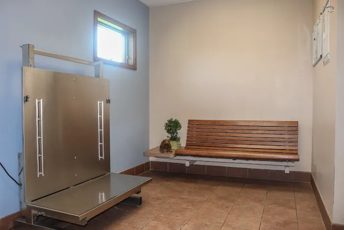 Companion Care Animal Hospital Picture 10