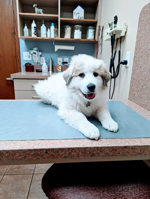 Companion Care Animal Hospital Picture 2