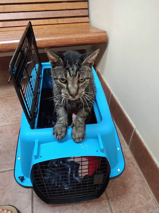 Companion Care Animal Hospital Picture 5